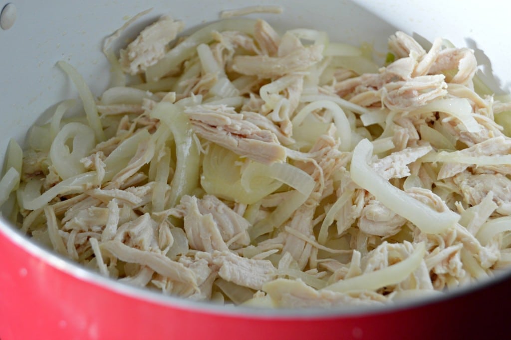 Chicken and Onion