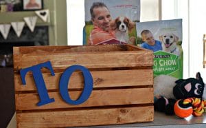 DIY Toy Bin For Your Dog - My Latina Table