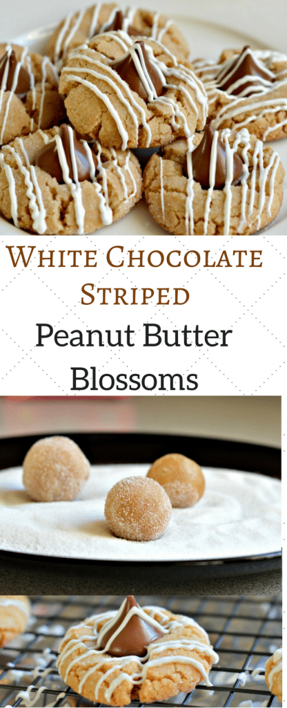 These White Chocolate Striped Peanut Butter Blossoms are perfect for holiday gifts and more. They are super easy to make too!