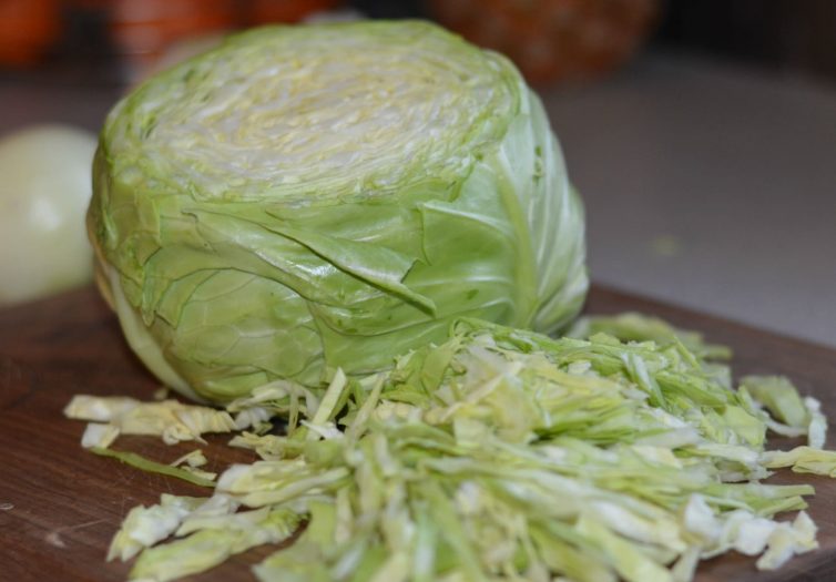 Polaca Style Shredded Chicken - My Latina Table