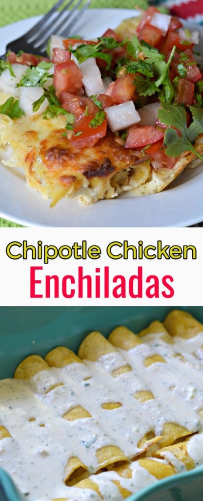 Chipotle Chicken Enchiladas with Pico De Gallo - My Latina Table