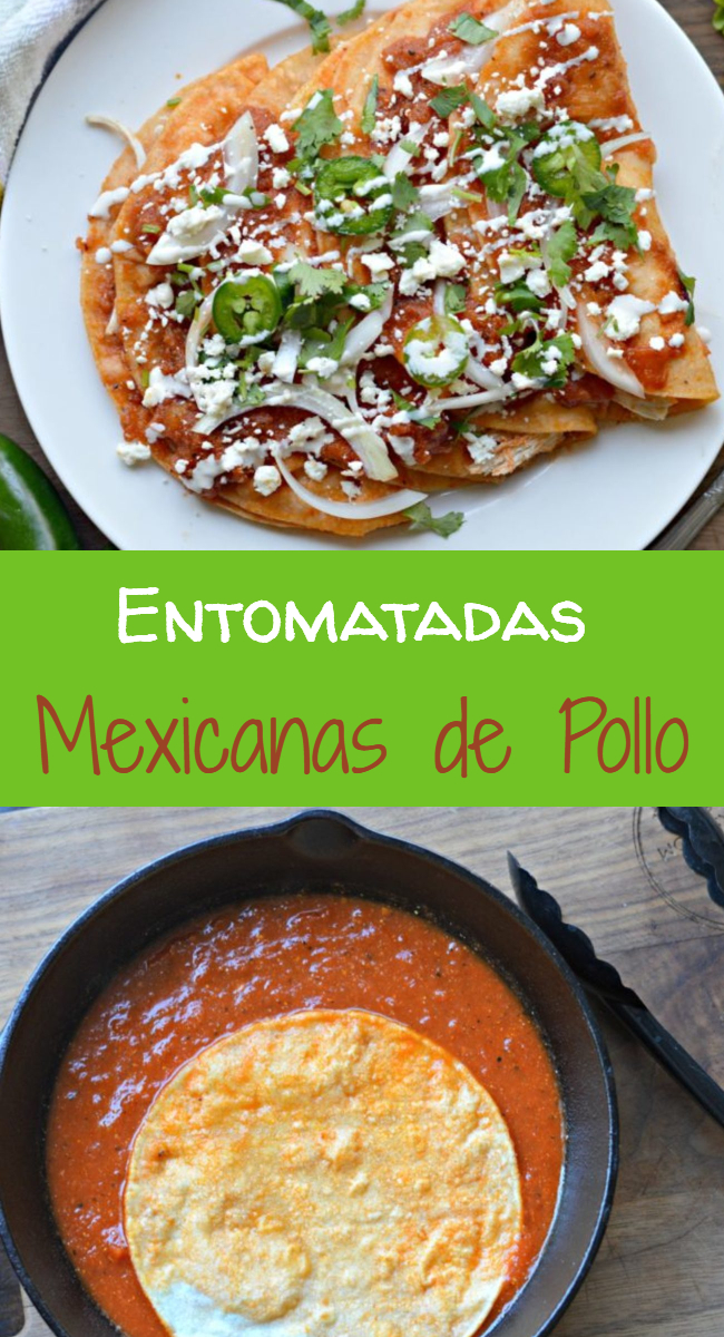 Entomatadas Mexicanas de Pollo - My Latina Table